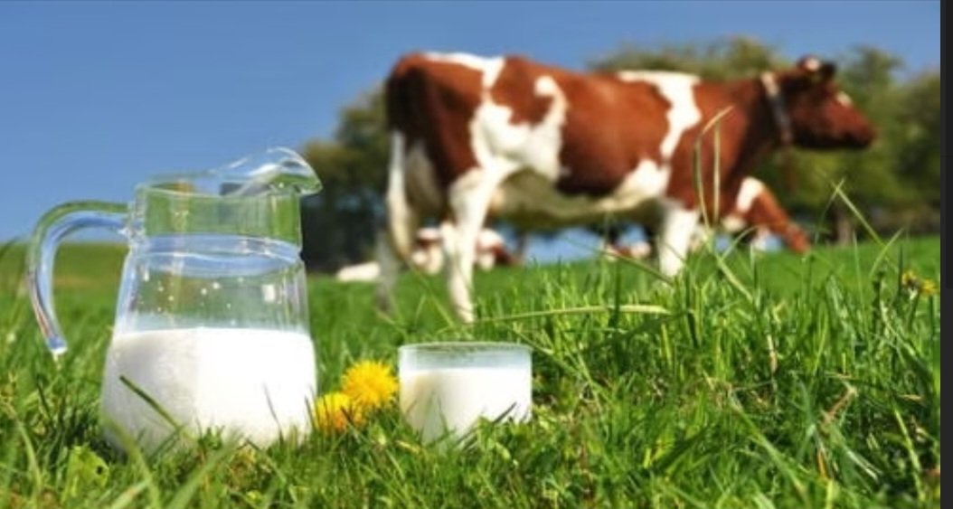 1ro de Junio, dia mundial de la #leche. La leche es uno de los alimentos más completos que existen
