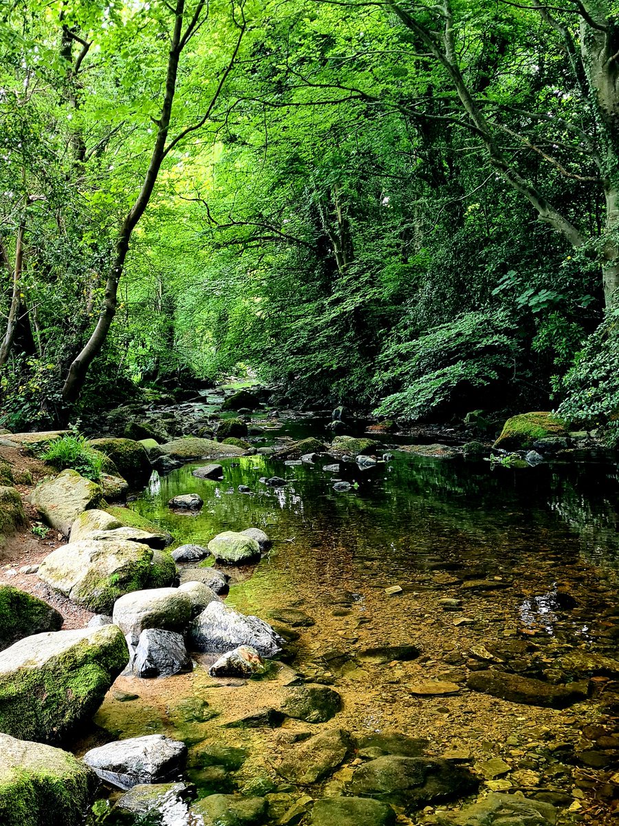 Beautiful Kilbroney Park, Rostrevor