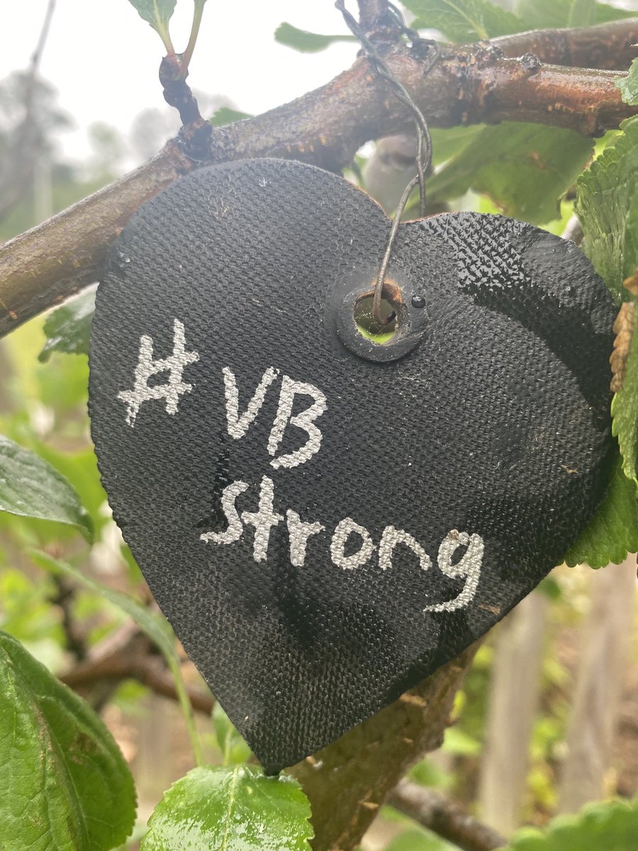 marietculver's tweet image. Scavenger #VBStrong garden hearts are scattered throughout our community garden. How many can you find? ⁦@SeatackDream⁩ #CommunityGardenSeatack 🌱 ⁦@SeatackDream⁩ ⁦@vbschools⁩ ⁦@BeachSupe⁩ @CityofVaBeach⁩ ⁦@skatven⁩  #GardenTour