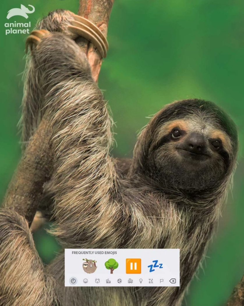 Animal India on Twitter "Their emoji aesthetics are on point! Comment your frequently