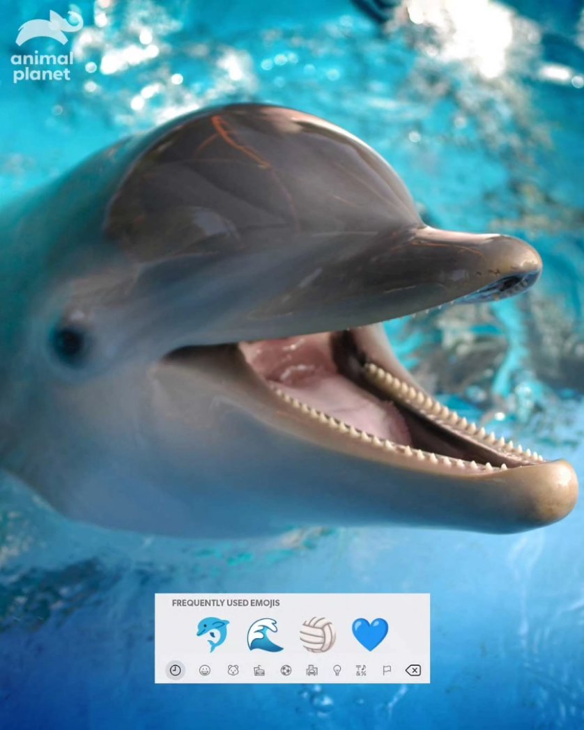 Animal India on Twitter "Their emoji aesthetics are on point! Comment your frequently