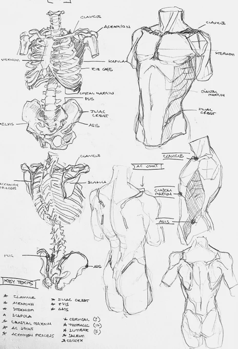 my old sketchbook studies 