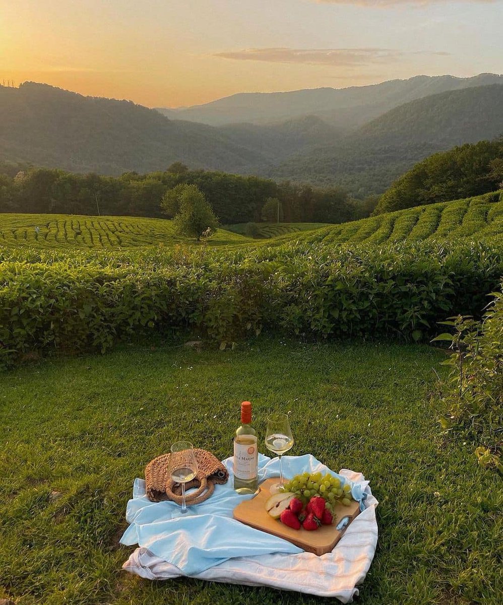 rice crippies on Twitter "RT artindetails peaceful picnic."