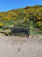 Great to have secured new benches on the route up to McArts Fort on the Cavehill.

What great weather to have them installed in too! Get out for a walk in the hills if you can and take in the views #Cavehill #NorthBelfast #BelfastHills