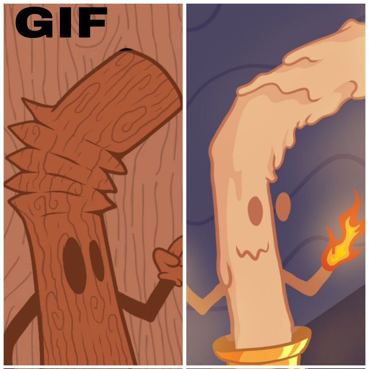 Tortuga 3 tweet media