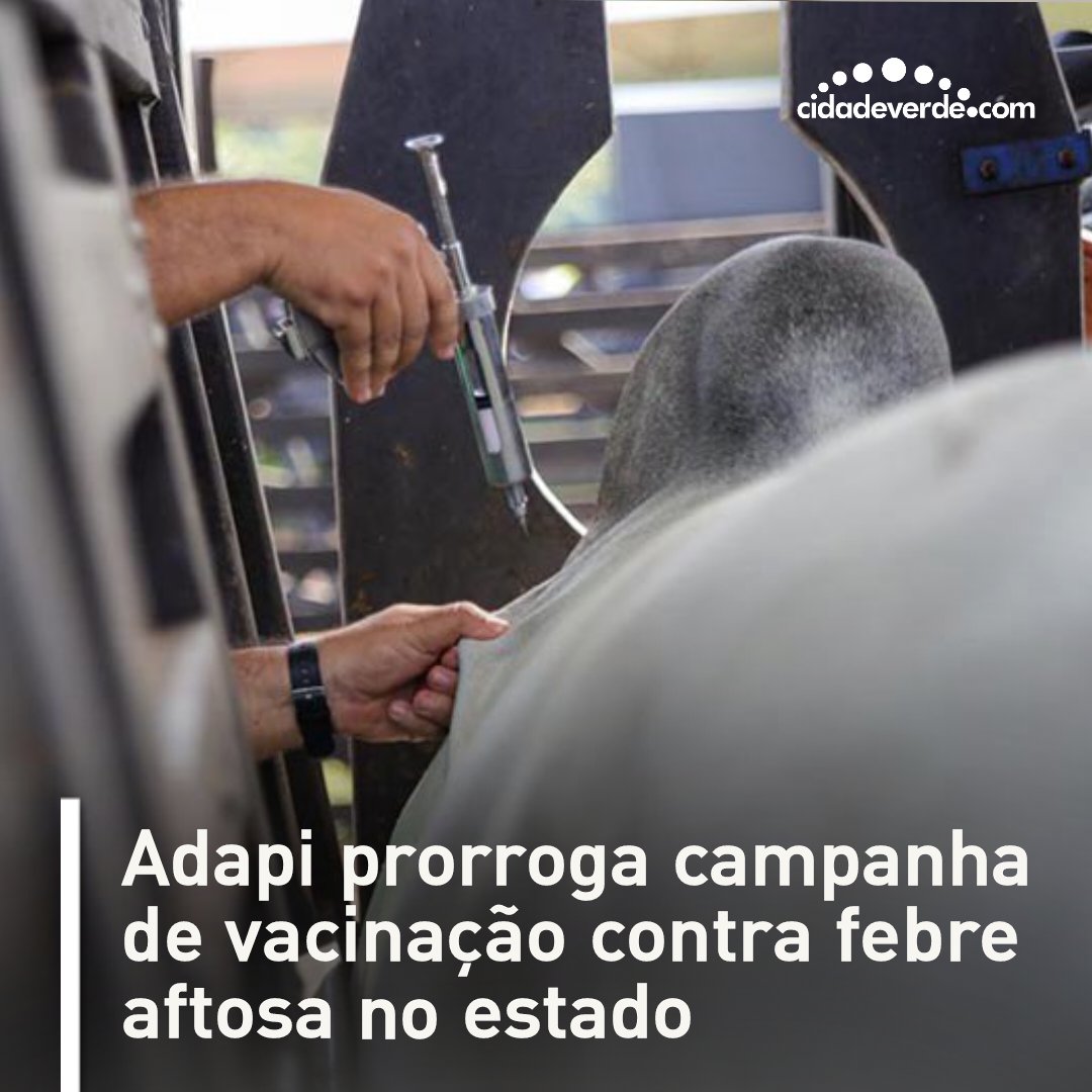 cidadeverde's tweet image. A Agência de Defesa Agropecuária do Estado do Piauí (Adapi) prorrogou a primeira etapa da Campanha de Vacinação contra a Febre Aftosa no Piauí.
 
Mais informações no cidadeverde.com 
 
#adapi #febreaftosa