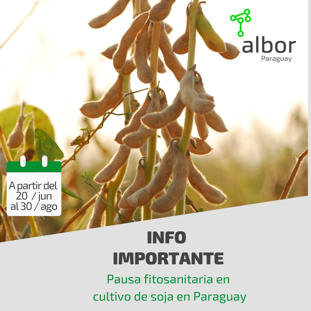 AlborParaguay's tweet image. Información importante:

A partir del 20 de Junio hasta el 30 de Agosto del 2023 Pausa fitosanitaria en cultivo de soja en Paraguay, conforme la Res. Nro. 35 emitida por la SENAVE

#AlborParaguay
#AlborCampo
#Softwaredecampo