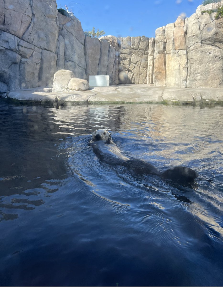 Grace Varnham tweet media