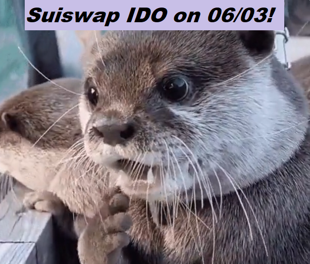 AuguswebstAugus's tweet photo. "@suiswap_app" and “#SUI” https://t.co/wEdbS2EryC