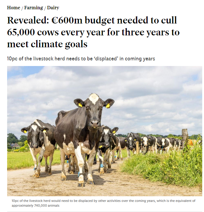 Leaked documents suggest the Irish government is planning to cull 65,000 cows a year for the next three years, at a cost of 200million euros a year, to meet its climate targets. Get ready for more, not less, of this insanity.