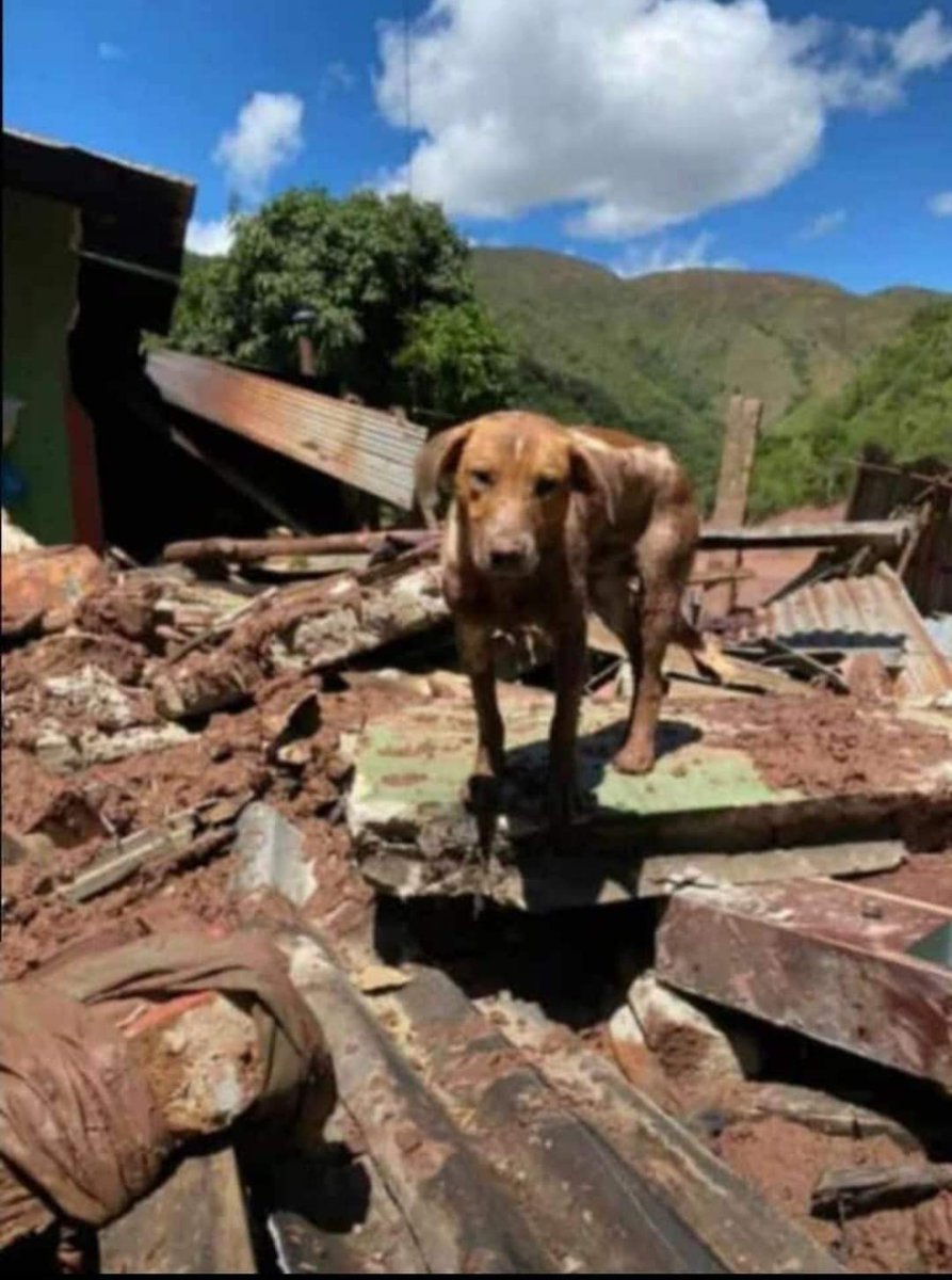 PlanetaRadio2's tweet photo. ES NOTICIA // Se conocen nuevas imágenes de las personas damnificadas por la avalancha que se presento en la vereda El Tarrita de Abrego Norte de Santander https://t.co/RccnBmHjsK