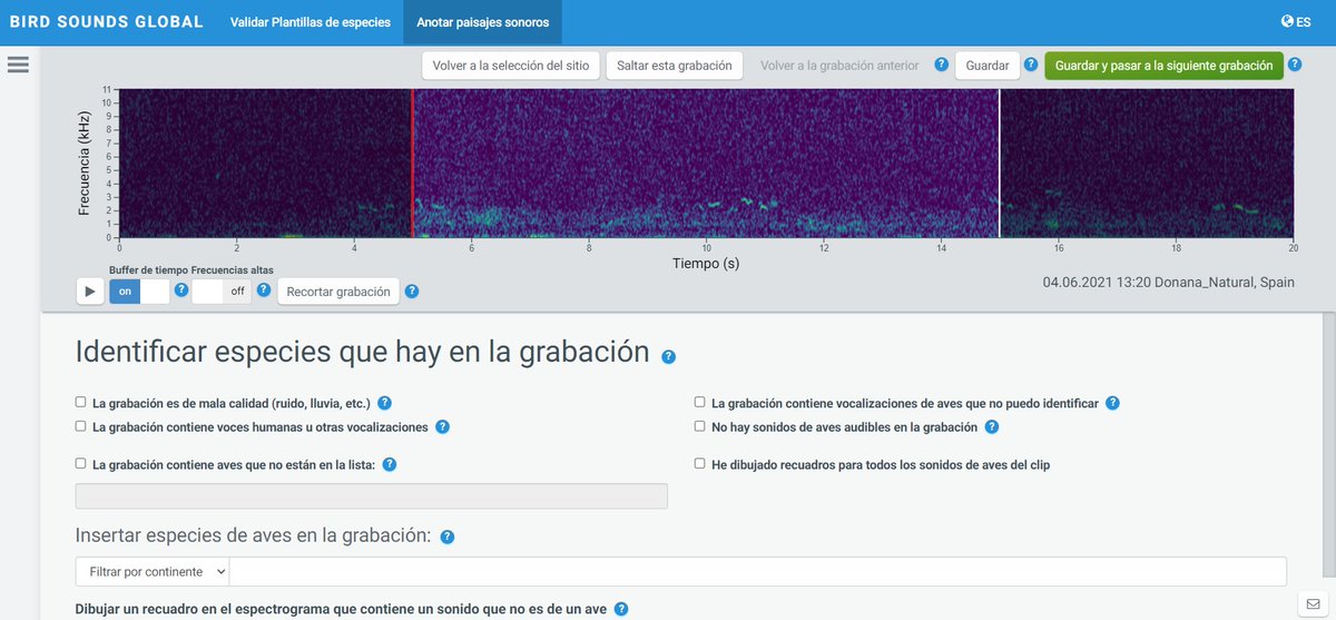 Bird Sounds Global (@birdsoundglobal) on Twitter photo BSG is now available in Spanish 🇪🇸!
El objetivo del portal de anotación de paisajes sonoros es producir material de entrenamiento y prueba para la identificación automática del sonido de las aves.
bsg.laji.fi/es/identificat…
<a href="/LifeplanProject/">Lifeplan</a>
<a href="/NeoBirdCons/">Neotropical Birding and Conservation</a>
<a href="/SEO_BirdLife/">SEO/BirdLife</a> BSG is now available in Spanish 🇪🇸!
El objetivo del portal de anotación de paisajes sonoros es producir material de entrenamiento y prueba para la identificación automática del sonido de las aves.
bsg.laji.fi/es/identificat…
<a href="/LifeplanProject/">Lifeplan</a>
<a href="/NeoBirdCons/">Neotropical Birding and Conservation</a>
<a href="/SEO_BirdLife/">SEO/BirdLife</a>