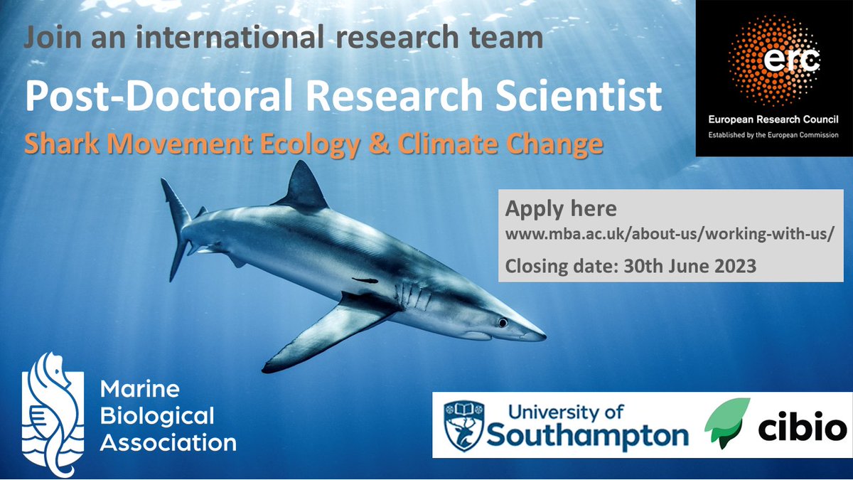 New 3-year postdoc position available in #shark movement ecology & climate change, incl novel bio-logging in deoxygenating environments @thembauk @MoveCIBIO @OceanEarthUoS @ERC_Research mymba.mba.ac.uk/job/postdoctor…