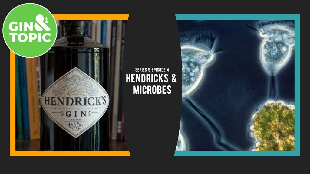 We're exploring the tiny world of microbes this week with our guest, Genoveva Esteban from
<a href="/BU_Research/">Research @ Bournemouth University</a>.

Join us Friday 5pm

In the meantime, listen to our Tasting Room now to meet Genoveva and the <a href="/hendricksgin/">HENDRICK'S GIN</a> that we’ll be paring with this topic.

Cheers!