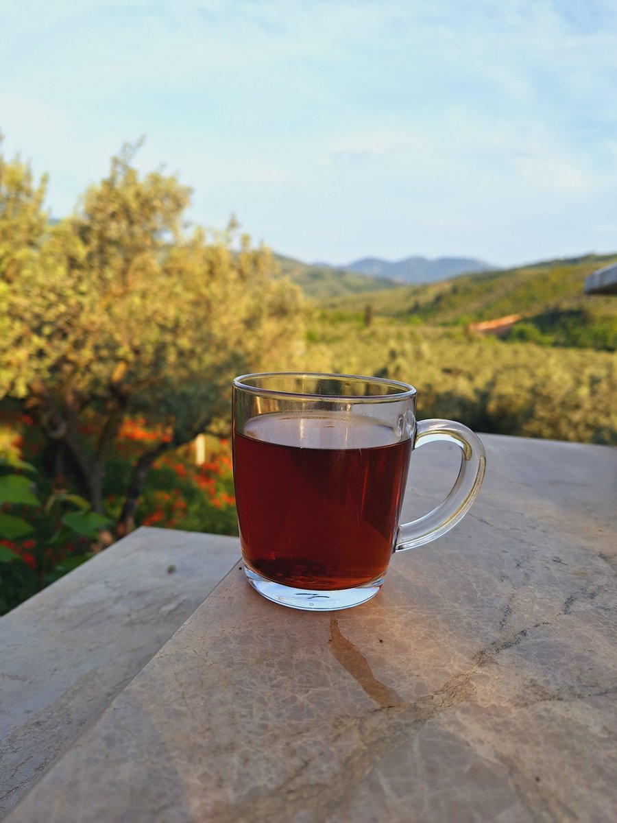 Hayata bir bardak çay molası 
#bursa #yeşilbursa