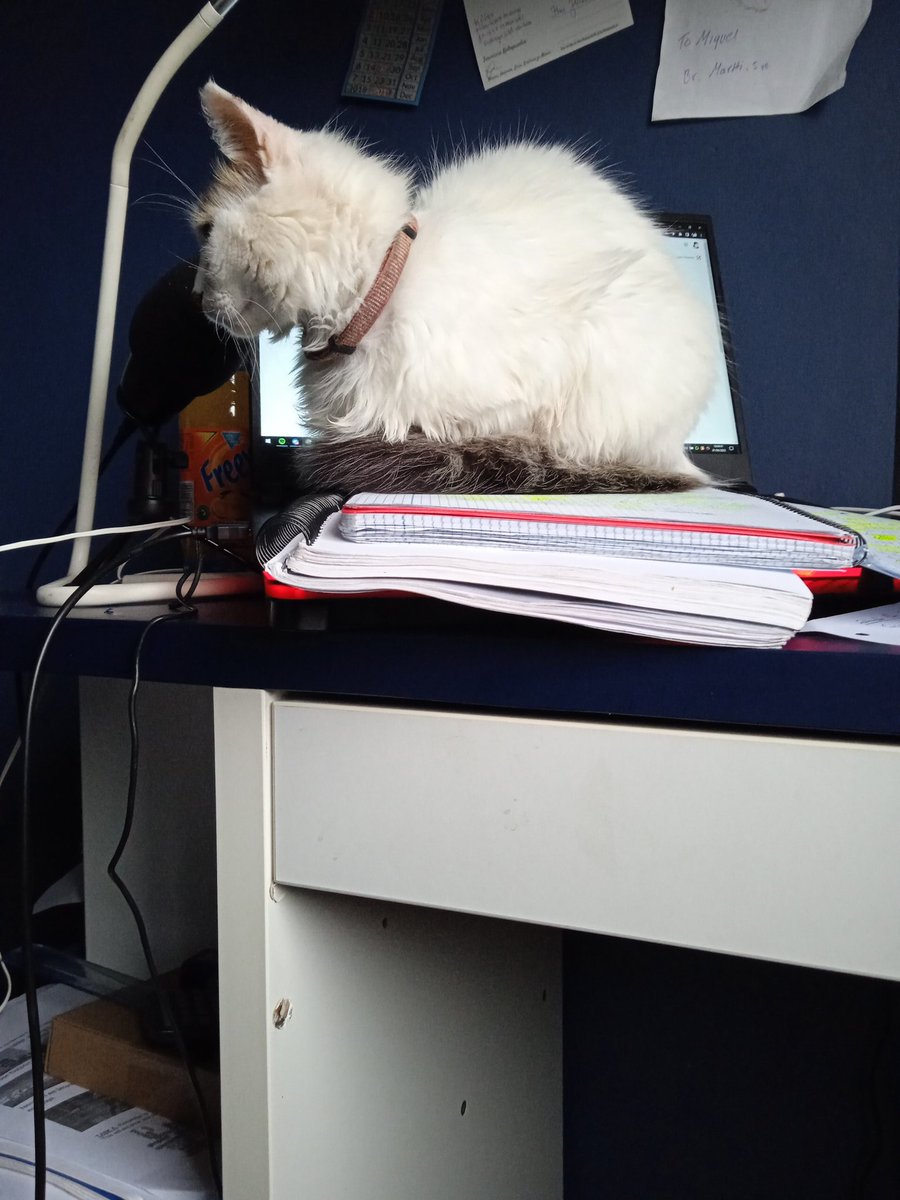 Luna esta encima del cuaderno que está encima del libro que está encima del portátil que está encima del escritorio