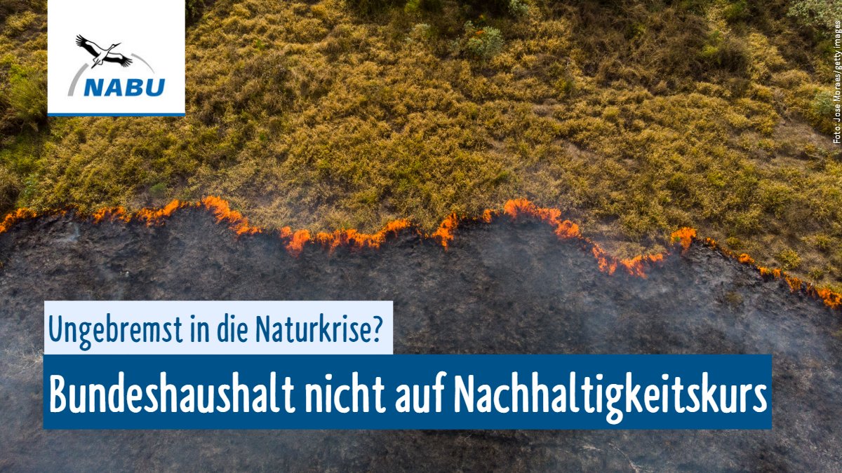 NABU_de's tweet photo. Ein neuer Bericht warnt: 7 von 8 planetaren Grenzen sind bereits überschritten. Trotzdem schafft es die Bundesregierung bisher nicht, Ausgaben und Steuerpolitik auf Nachhaltigkeit zu trimmen. Was sie konkret besser machen könnte zeigt unsere neue Studie 👇
https://t.co/YpaiMS2v63 https://t.co/EFPDV5jrB9