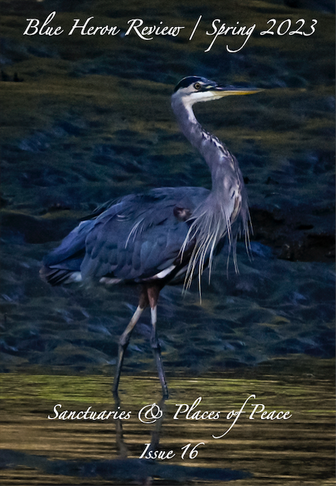 For anyone who may have missed our announcement, our BHR 16 Spring 2023 issue of Blue Heron Review in NOW ONLINE!  We hope you enjoy this themed selection of poems and photography — Sanctuaries &amp; Places of Peace.  Breathe, read, reflect, repeat.

blueheronreview.com/bhr-issue-16-s…