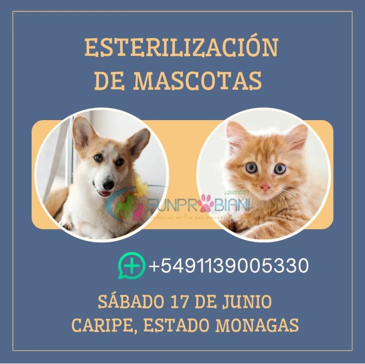 #Caripe #Monagas #Esteriliza #FUNPROBIANI