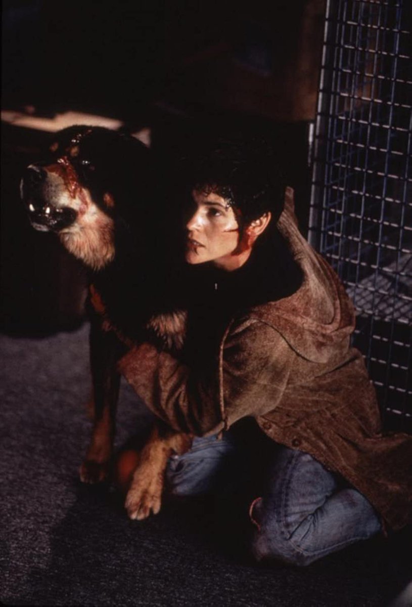 On November 19, 1993, Man's Best Friend was released. #MansBestFriend #AllySheedy #LanceHenriksen #FredericLehne #RobertCostanzo #TrulaMMarcus #FredricLehne #JohnCassini #WilliamSanderson