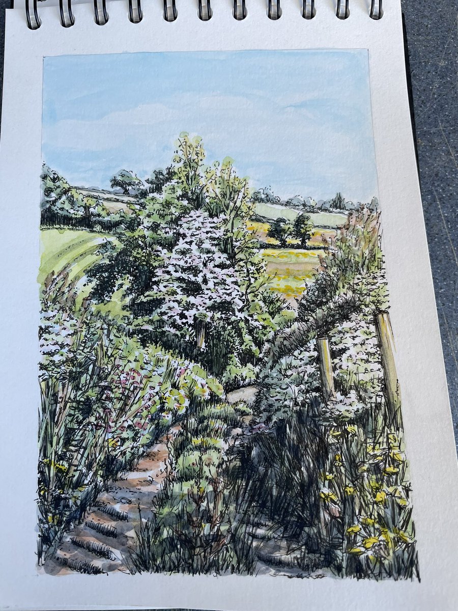 Back on my bike to the same small patch where I painted last week, but this time looking down the track.

Buzzards, skylarks, bullfinch, chiffchaff (I won’t mention the hawthorn).

Solace in nature.

#Painting #Landscape #Nature #MidDevon