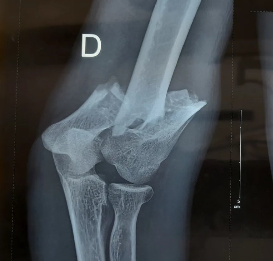 Will 🦴🛠💪🏼 tweet media