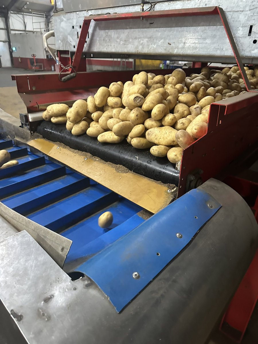 FarmCoaching's tweet photo. Export voor de fish and chips 🇬🇧 https://t.co/H2s1VLAXmX