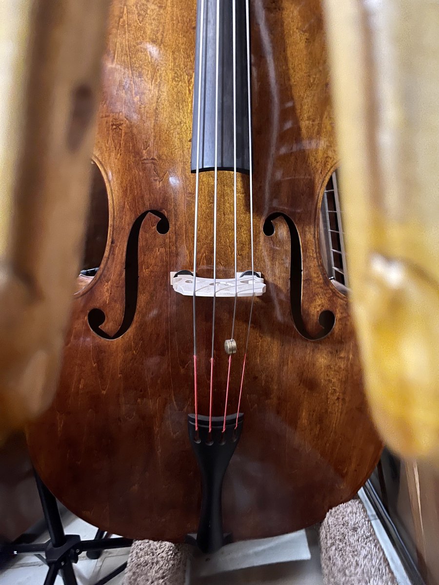 MiamiString's tweet photo. The Day 24 instrument in our 28 Basses in 28 Days is our Shen SB88 3/4 Double Bass. It is made with Willow wood and upgraded with Bridge Adjusters and Spirocore Strings. #28bassesin28days https://t.co/slcbTdzIzf