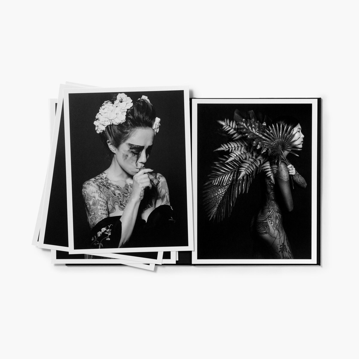 Check out my new portfolio book, which comes with 7 sold out prints hemeria.com/en/ink-stories…