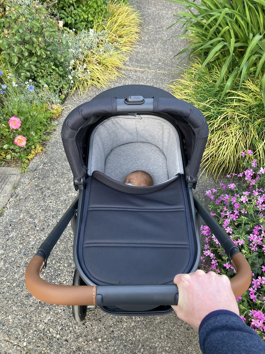 Gordon Padelford tweet media