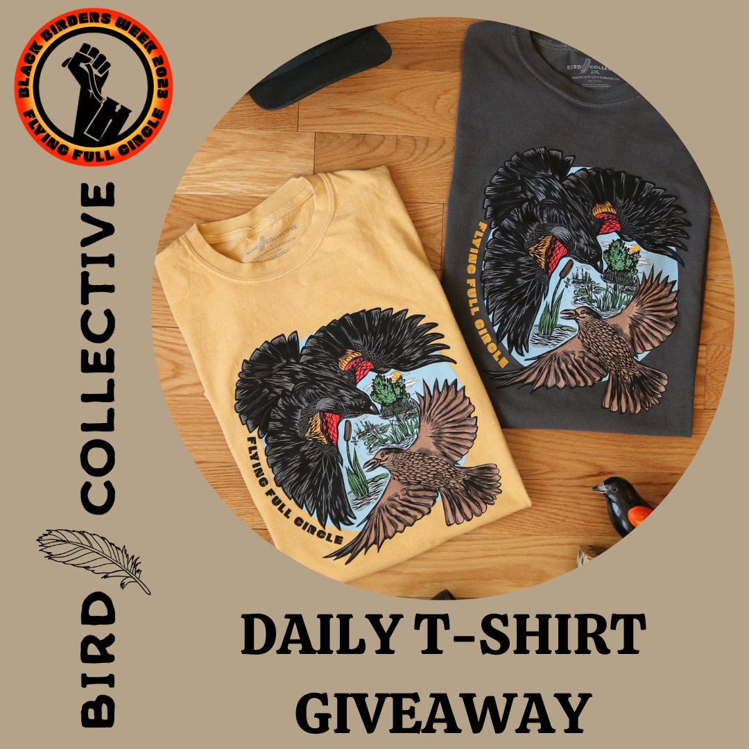 BlackAFinSTEM (@blackafinstem) on Twitter photo Support <a href="/bird_collective/">Bird Collective</a> and <a href="/BlackAFinSTEM/">BlackAFinSTEM</a> by sporting a #BlackBirdersWeek2023 t-shirt!
Featuring a pair of Red-winged Blackbirds, this shirt was designed by Stacie Balkaran & represents this year’s theme of “Flying Full Circle”. We're giving away one (1) shirt daily, all week. Support <a href="/bird_collective/">Bird Collective</a> and <a href="/BlackAFinSTEM/">BlackAFinSTEM</a> by sporting a #BlackBirdersWeek2023 t-shirt!
Featuring a pair of Red-winged Blackbirds, this shirt was designed by Stacie Balkaran & represents this year’s theme of “Flying Full Circle”. We're giving away one (1) shirt daily, all week.