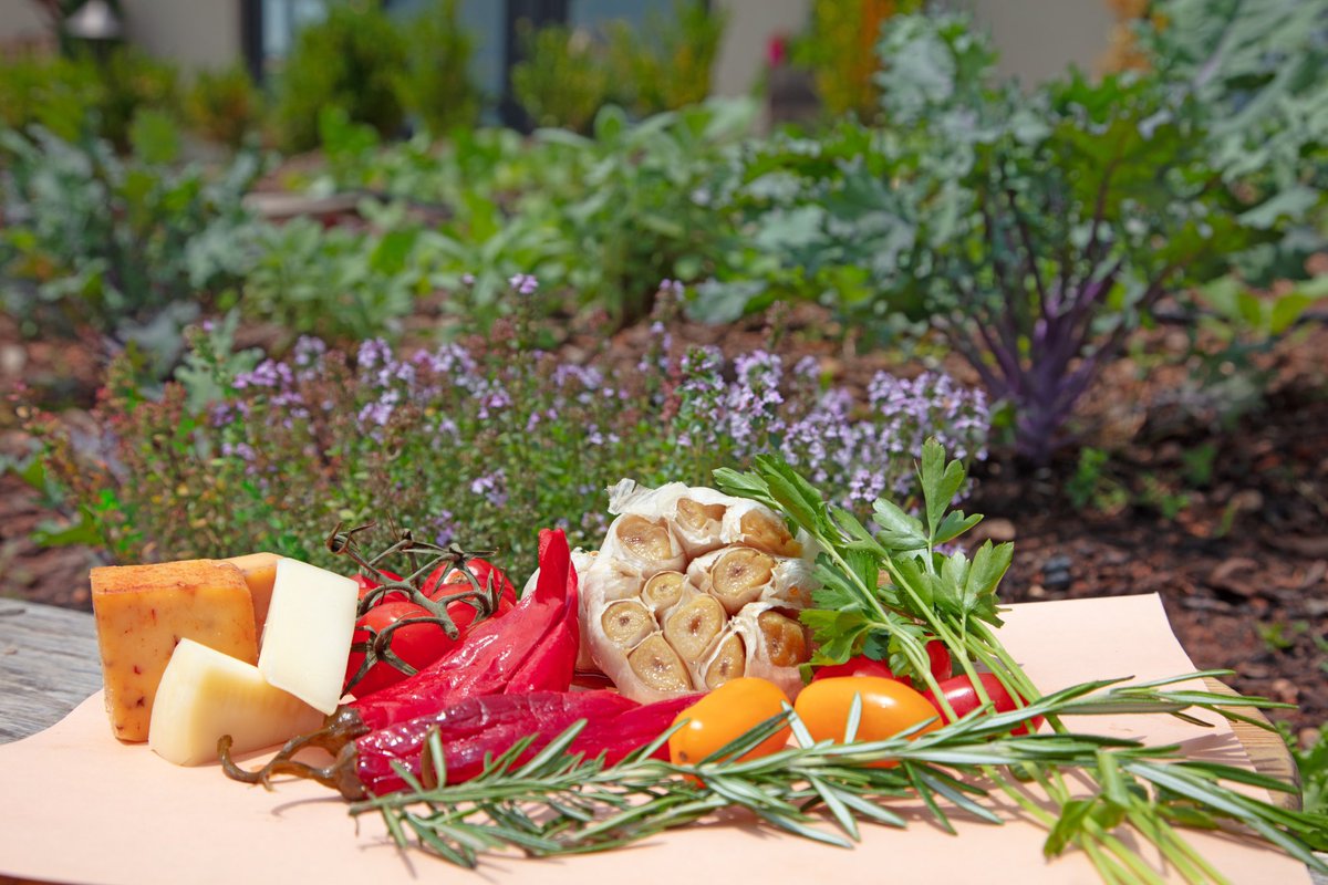 THE BEST INGREDIENTS | It’s the season for bright, colorful veggies! Only the freshest, local ingredients make it into our authentic menu items at Trattoria di Montaluce. Come taste the difference! #local #summer #produce #winery #locallysourced #vegetables