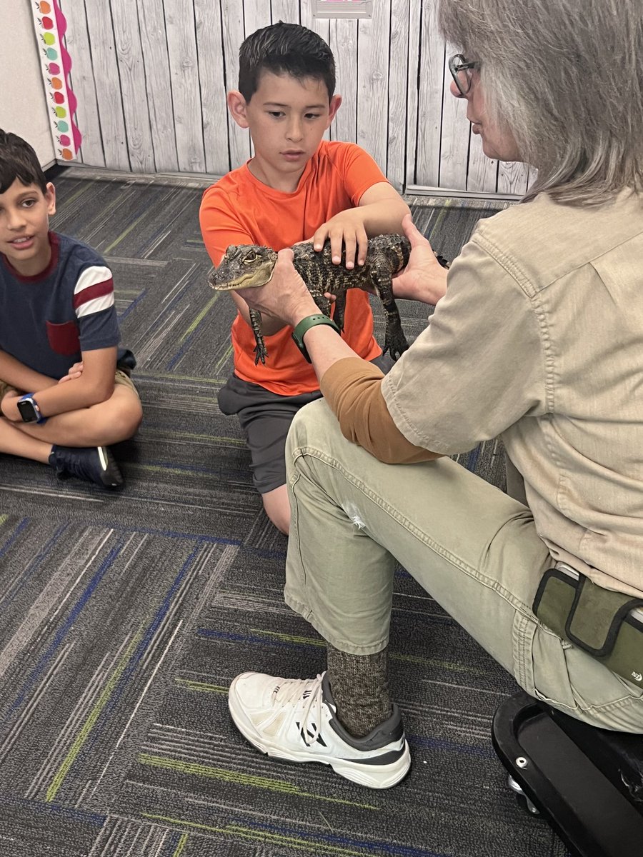 Tressa Collini tweet media