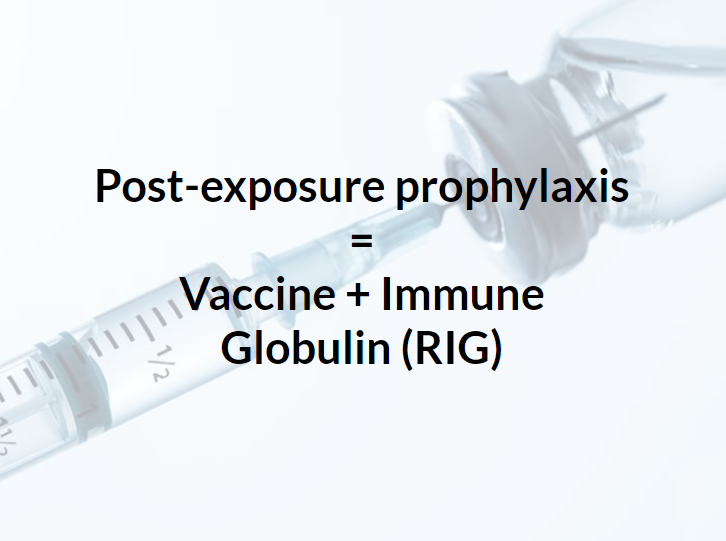 MRamzyDO's tweet photo. @MaricopaEM’s @gbcomp on Rabies at #EEM2023

Risk stratification who needs the vaccination protocol by inquiring on things like:

☣️Type of exposure
💉 Animal vaccination history
🧪Availability of animal for observation/rabies testing

#FOAMed @EssentialsofEM @Hippoeducation https://t.co/ciYitihlQr