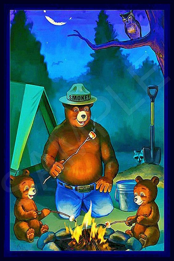 June is #NationalCampingMonth! This month and EVERY month, keep campfires small and to a manageable size. Always have a bucket and shovel nearby and be sure your fire is completely out before leaving it.