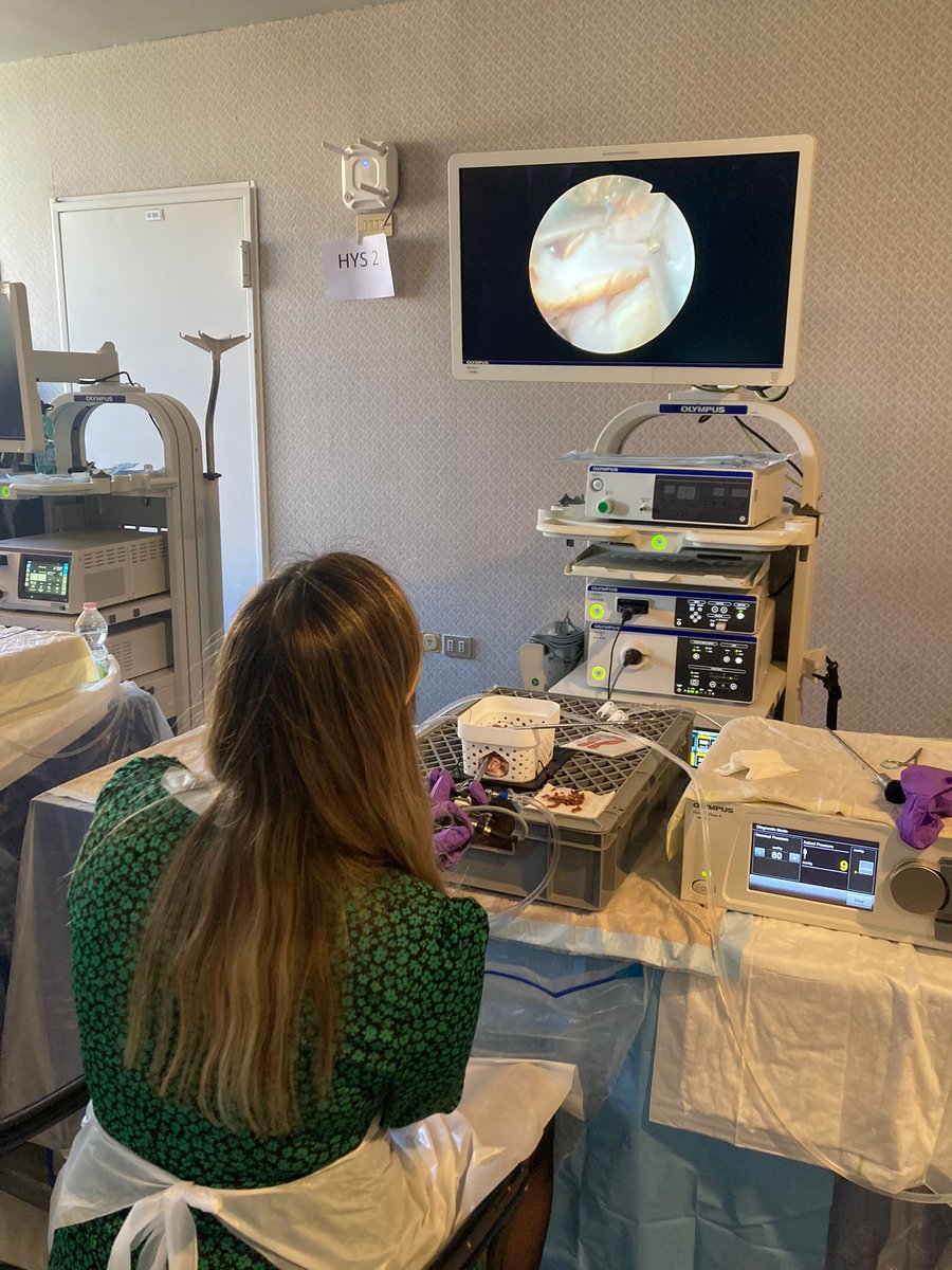 Se ha celebrado en Roma el curso de GETUp. La sección de endoscopía de la SEGO envió a 10 R4-A1 de ginecología de toda España para mejorar sus habilidades en Laparoscopia e Histeroscopia. Apostando por las nuevas generaciones! 😉