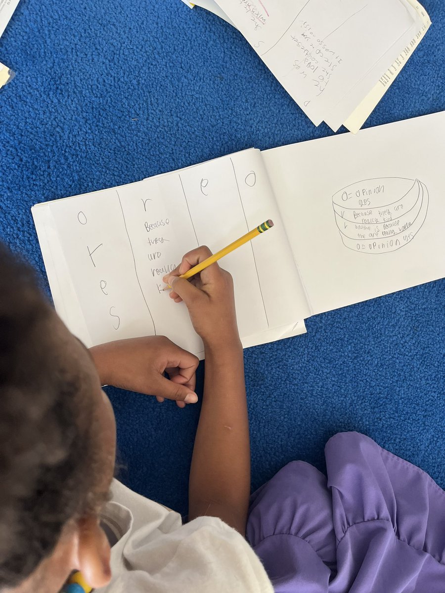 MrsNovak2's tweet photo. Third graders SOARING until the end, creating their own organizers for opinion writing! 🦅 💚 #WIN @elmwoodes #OurElmwood https://t.co/gV21X32fEg