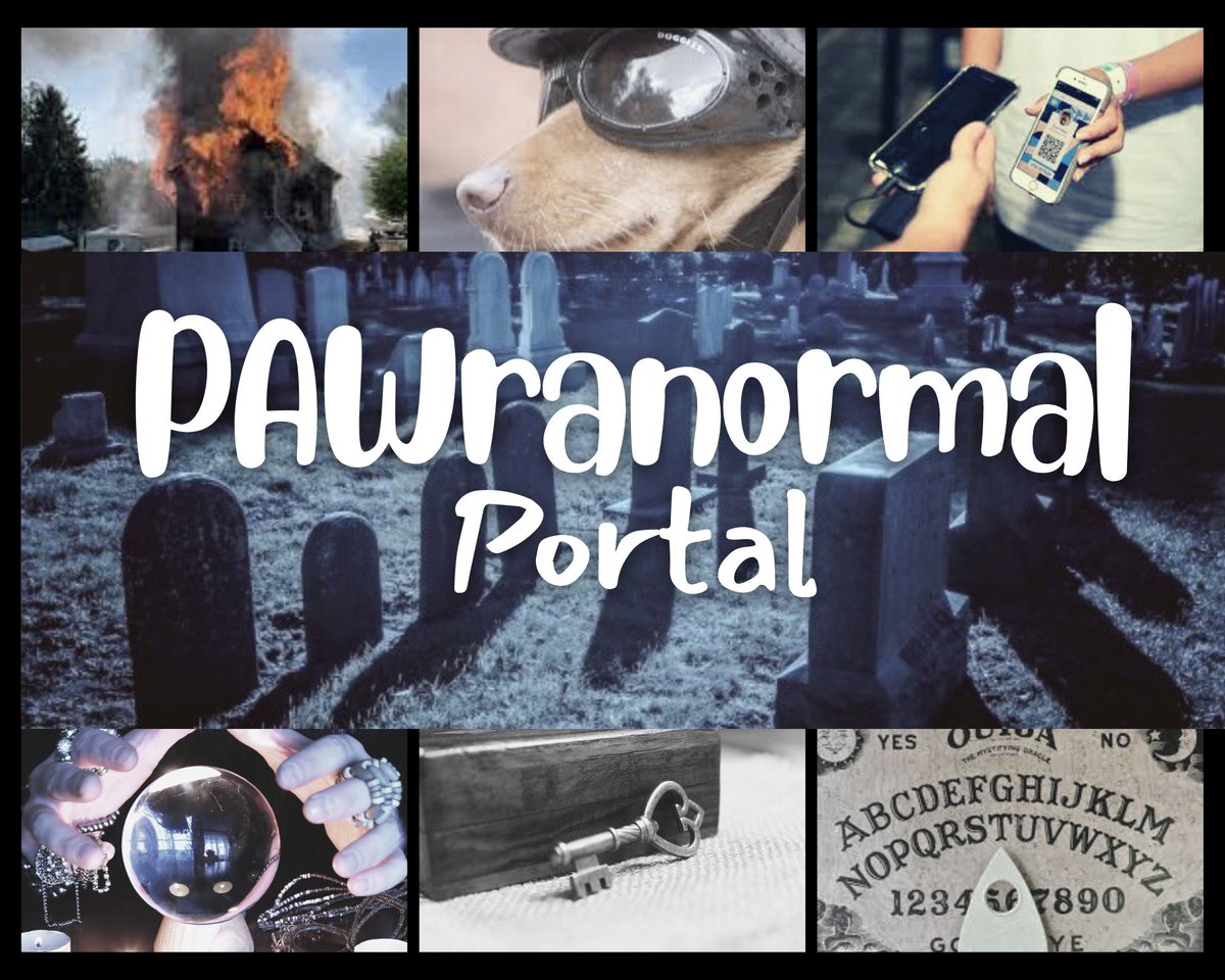 Imagine if your dog could hear dead people. Then, picture they could relay messages from beyond the grave, like a pet medium. How? The answer sits inside a strange, locked box that tween, Lucy, inherited from her late Grandpa. It’s a PAWranormal Portal.  #MG #IMM #MR #KidLitPit