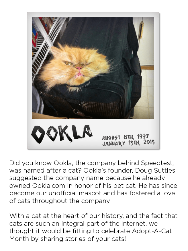 Speedtest by Ookla tweet media