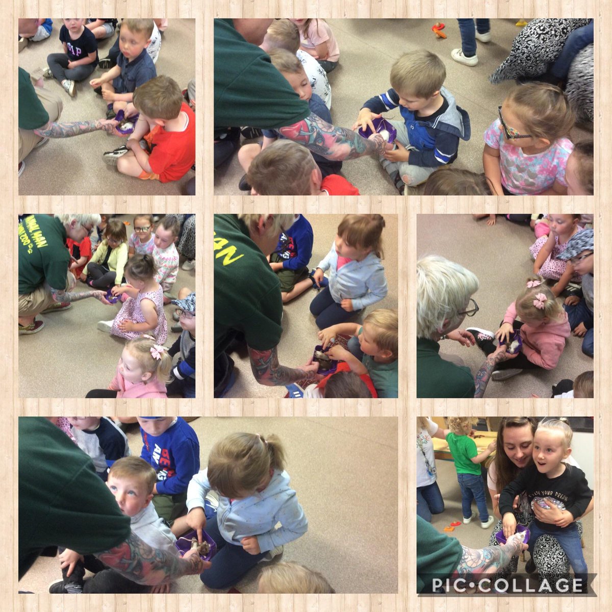 We had a lovely visit from Louise the Animal Lady. We all had the opportunity to hold or touch some of these animals and she gave us lots of fun facts and information about them.🐹🐔🐍🦎🦗. Some of us were very brave.