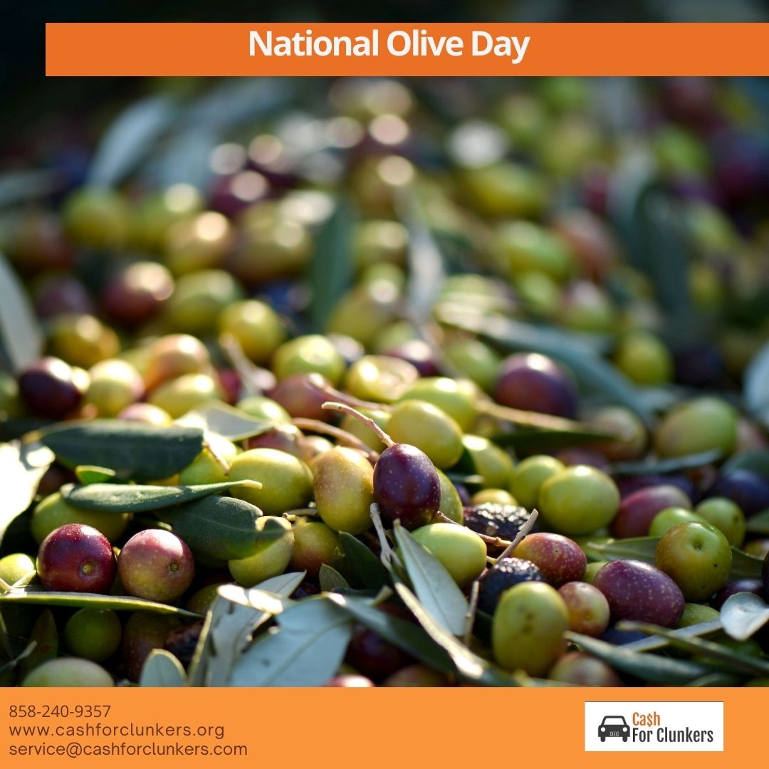 cash_clunkers's tweet photo. The olive has its roots in a traditional Mediterranean diet, but it’s enjoyed worldwide these days.
#UnwantedCars #JunkCars #FreeTow #CashforClunkers #NationalOliveDay https://t.co/Td8Cx1hI5q