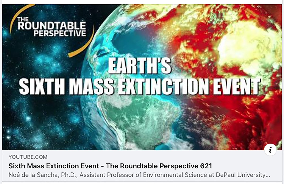 Noé U. de la Sancha tweet media