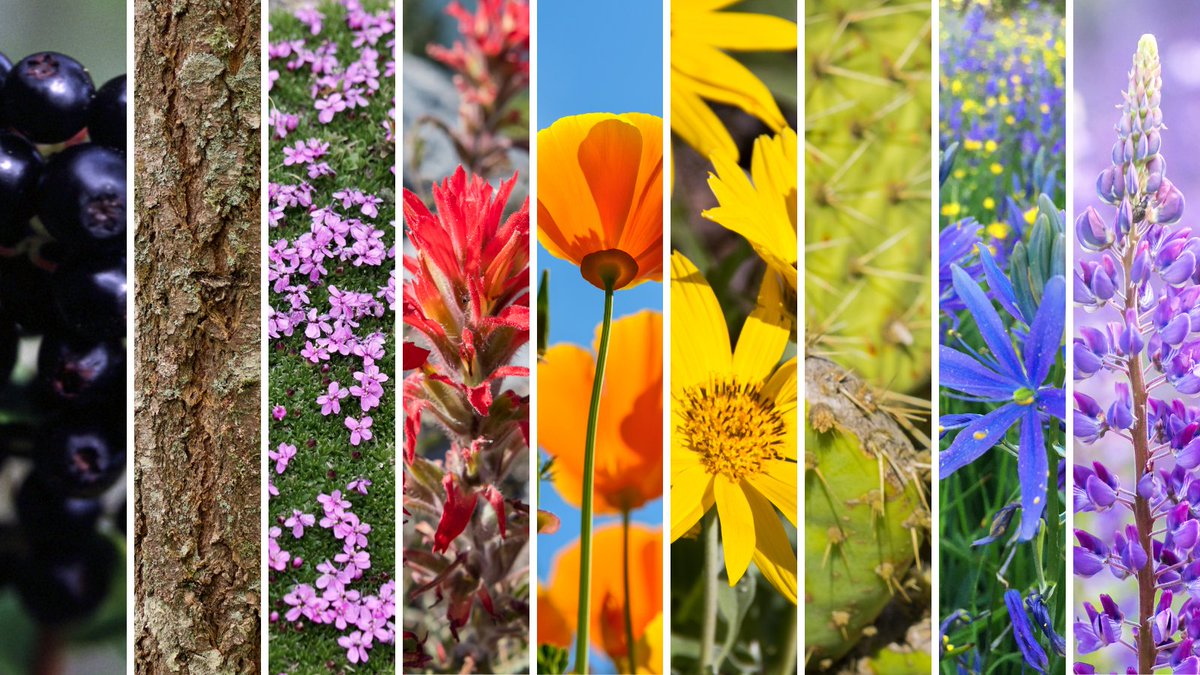 waDNR's tweet image. The outdoors are for everyone.
"Well, yeah, of course," some might say.
But when you're someone grappling with feeling "different," when you don't feel safe to be completely yourself at home, at work, in your community - the outdoors provides refuge...