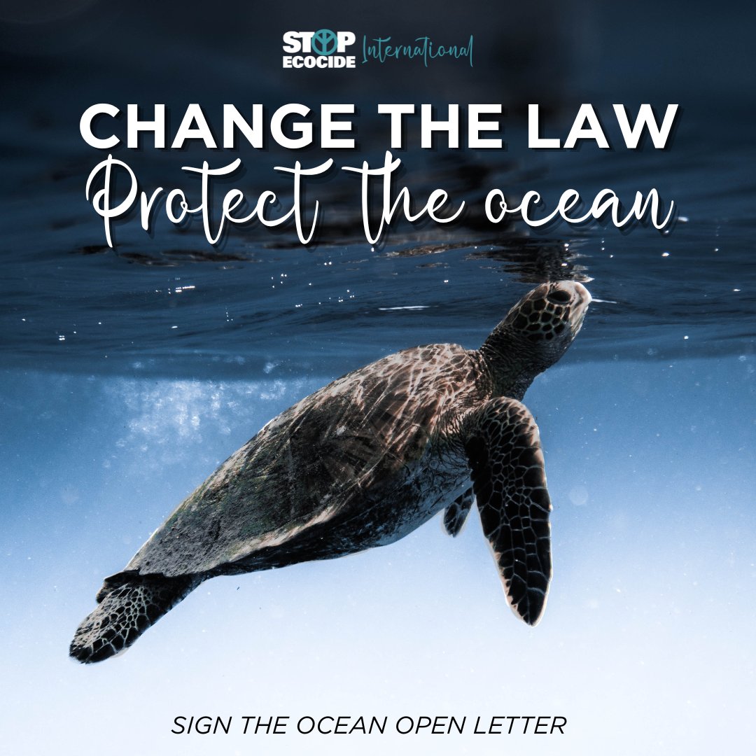 🌊It’s time to rebalance our relationship with the ocean - our No1 source of oxygen! 📢 Sign the Ocean Open Letter + demand International recognition of #ecocide: stopecocide.earth/ocean-for-ecoc… 🗓️ Ocean for #EcocideLaw Network launch (June 7): stopecocide.earth/events/protect… #StopEcocide