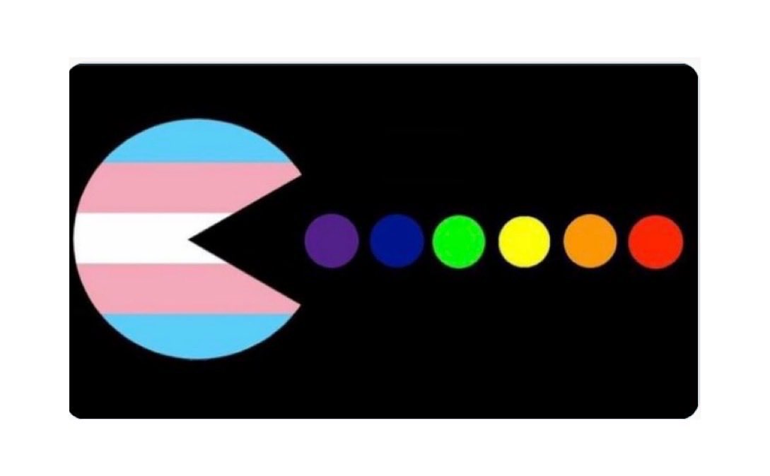 It's Pride month, and I'm sending love to my gay brothers and lesbian sisters, who have been pushed from the nest by the monstrous Trans Cuckoo.  The divorce can't come soon enough. 
#LGBWithoutTheT #PrideMonth #LGBWithoutTheTQ