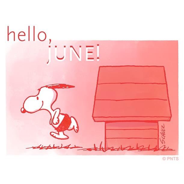 Peanuts_4Fans's tweet image. Hello, June!