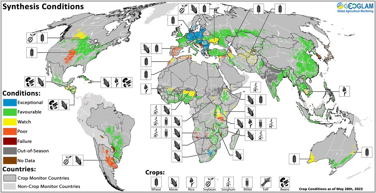 Wheat conditions are under 'watch category' or worse in most places from U.S. to Central Asia and in Australia, but interestingly enough were still rated as favorable in China (as of 5/28)
Source .@GEOCropMonitor