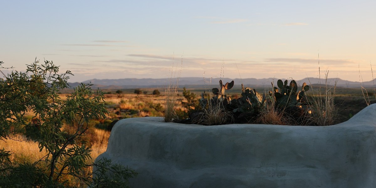 Biopod 02 has completed its transformation into a mushroom-growing environment. TSOA faculty Daniel Ayat, student Ryan Wenk, and others converted Sol Edelman's ('21) Biopod 01 into a "living building" that can not only sustain plant life but also encourages it.