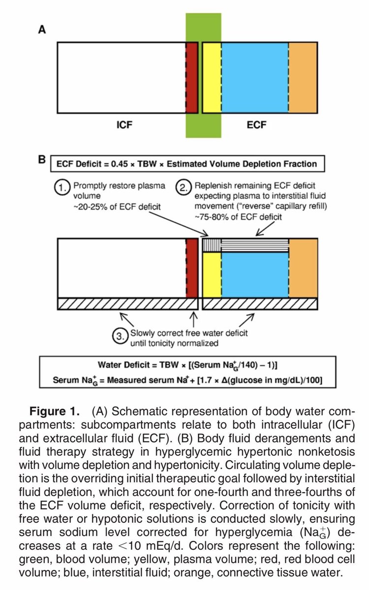 edgarvlermamd's tweet photo. Although often used interchangeably, dehydration &amp; volume depletion are not the same    

Dehydration: loss of total body water (leads to hypertonicity)  

Volume depletion: ECFV deficit #Nephpearls #IMpearls 

https://t.co/qWgYgiS09p

https://t.co/GFV5UgcPag https://t.co/jHtBSWxFsf