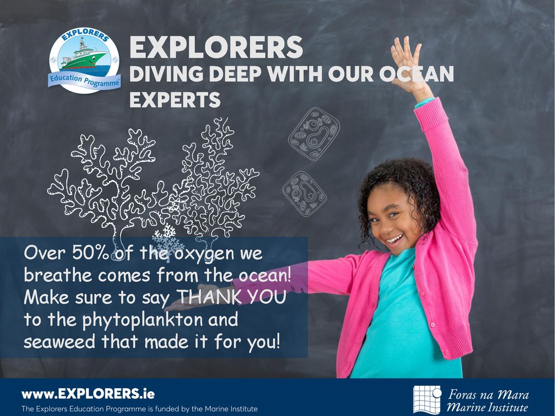 🤿Diving Deep with Young Explorers🤿
#KeepExploring <a href="/MarineInst/">Marine Institute</a>